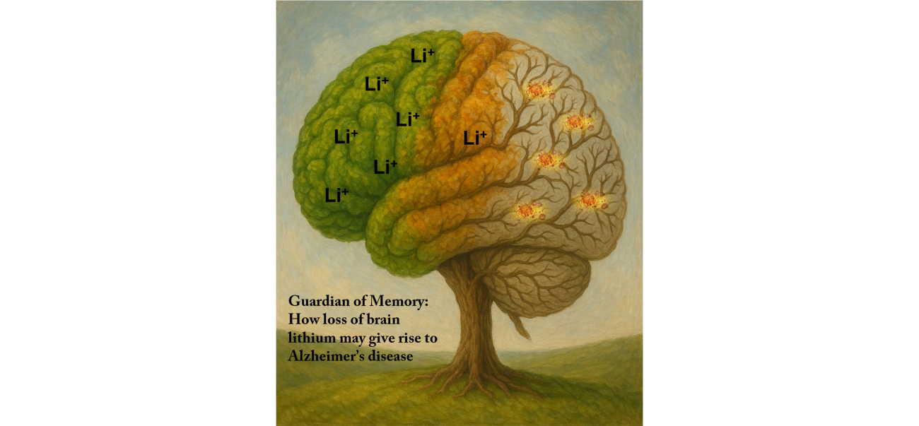 Li - Guardian of Memory